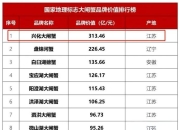 im电竞-捷克势如破竹取得四连胜，荣登小组榜首的简单介绍