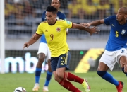 im电竞下载-关于哥伦比亚主帅：球队表现出色，有望夺得美洲杯冠军的信息