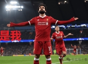 IM电竞官网入口-关于利物浦领头羊，距离英超冠军仅一步之遥的信息