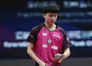 im电竞下载-中国乒乓球队完胜韩国乒乓球队，奥恰洛夫惊艳世界的简单介绍