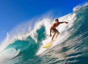 im电竞APP下载-矛与盾的史诗，库尔图瓦一夫当关，奥地利铁链锁死大黄蜂