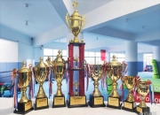 IM电竞游戏-包含卡塔尔选手斩获佳绩，喜获奖牌的词条