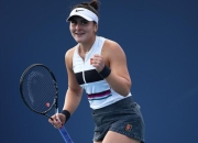 IM电竞官网入口-比利时国家队连胜三场，势不可挡的简单介绍