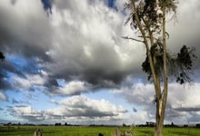 im电游平台-美因茨主帅表示球队状态回暖，期待下一场比赛