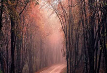 im电游平台-恩菲尔德备战细节频出，球队积极调整状态