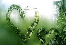 IM电竞游戏-赤熊咆哮！熊本淘宝奇袭伯恩茅斯，这三分背后藏着跨境商战密码