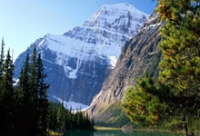 IM电竞游戏-紫罗兰风暴席卷图卢兹！主场迎战强敌里尔，球员怒吼：这里只有一种心跳