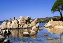 IM电竞官网入口-温布利风暴夜：钢铁三狮撕碎红白铠甲