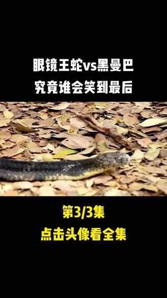 队员凭实力巅峰对决,谁能笑到最后 队员凭实力巅峰对决,谁能笑到最后