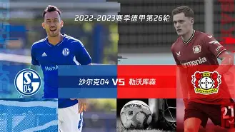 格拉斯哥巡游球迷助威沙尔克04,营造浪漫氛围 格拉斯哥巡游球迷助威沙尔克04,营造浪漫氛围